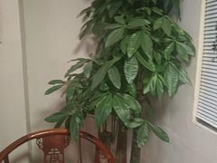 -张钰强中医正骨推拿连锁(华发商都店)