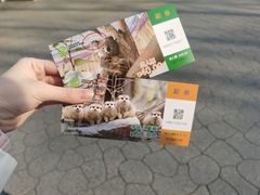 -红山森林动物园