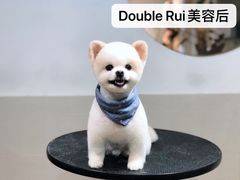 -Double Rui宠物酒店