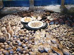 -海味当家·蒸锅海鲜(星海公园店)