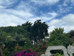-南诏风情岛