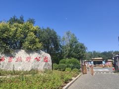 -西青郊野公园