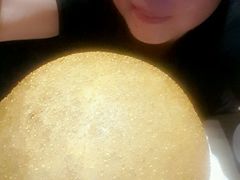 -御花园·粤菜·海鲜火锅(中山公园店)