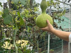 -洪湖家庭农场·团建·露营·会议