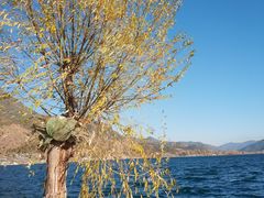 -丽江泸沽湖景区