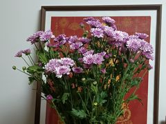 -龙大花卉苗木市场