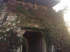 -原山国家森林公园