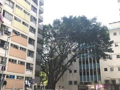 -彩虹村