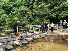 -梁野山景区