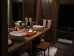-台北北投丽禧温泉酒店