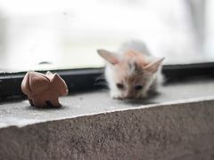 -五月木作·DIY木作文创体验店(北京路店)