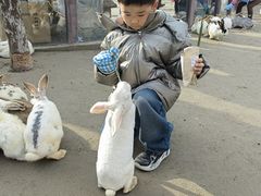 -茅山东方盐湖城景区