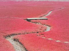 -红海滩国家风景廊道