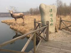 -溱湖国家湿地公园