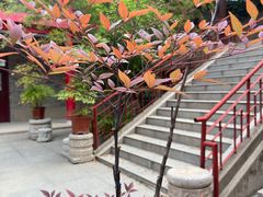 -关中书院