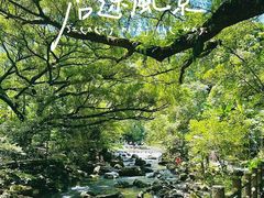 -广州市石门国家森林公园
