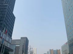 -莲·中餐厅(成都首座万豪酒店)