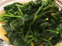清炒菠菜-浒顺大酒店(相城店)