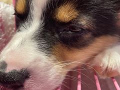 -远洋未来广场(育慧北路店)