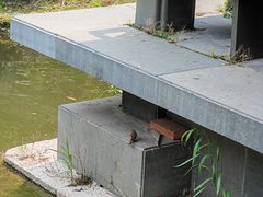 -浙江省博物馆(孤山馆区)