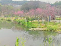 -牛岗山公园