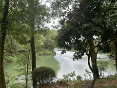 -红花湖景区