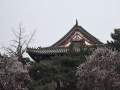 -北京大学百年讲堂