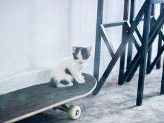 -五月木作·DIY木作文创体验店(北京路店)