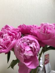 -新美荟医美·专注面部美学抗衰