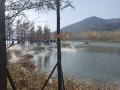 -千年银杏谷文化旅游区