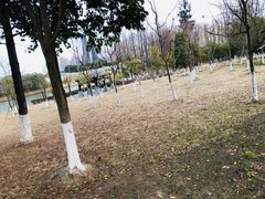 -白塘生态植物园