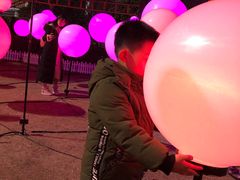 -锦江乐园舞狸花花游园会(夜场专享)