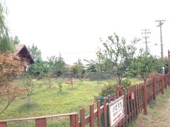 -苏州太湖牛仔风情度假村