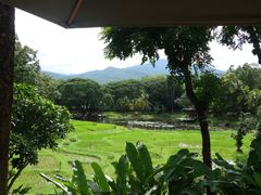 -四季酒店下午茶