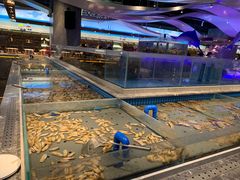 -一方渔歌蒸汽海鲜自助(文化路万达广场店)