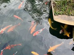 -千滋百味·醉江澜花园餐厅(街道口店)