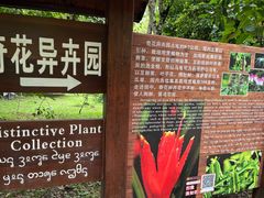 -中国科学院西双版纳热带植物园