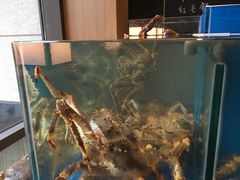 水产区-綱元·海鲜豆捞(明州里店)