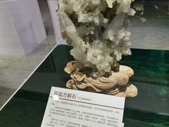 -中国第四纪冰川遗迹陈列馆