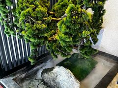 -上足·影院足道·SPA(红岭店)