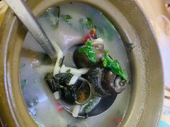 -正宗南铁拉叔沙煲螺·烧烤·秘制靓粥(南铁总店)