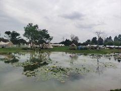 -夏河溪乡野公园