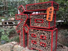 -天目湖山水园