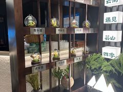 -芸山季·云南野生菌火锅(人民广场来福士店)