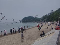 -棒棰岛宾馆景区