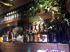 -春草居酒屋·晴子の店