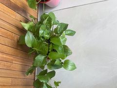 -额尔敦传统涮(光明路店)