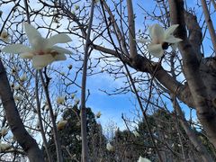 -北京西山国家森林公园