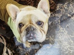 -鱼乐岛餐厅·户外花园主题餐厅