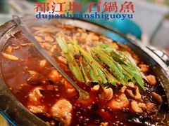 -都江堰石锅鱼